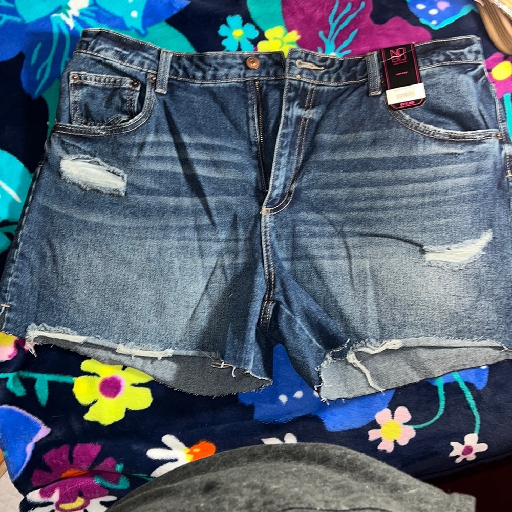 No boundaries cut off shorts